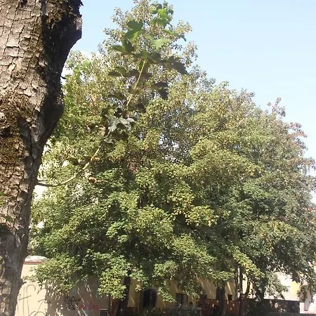 아파트 Rimska Tour As *