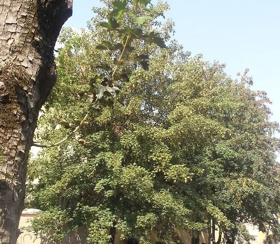 Apartamento Rimska Tour As *